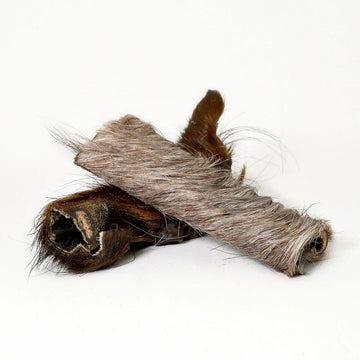 Peau de tête de cheval avec poils
